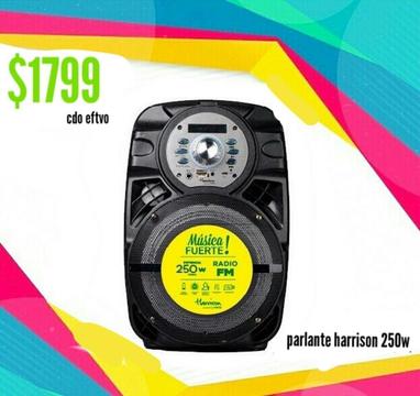 Parlante 250w