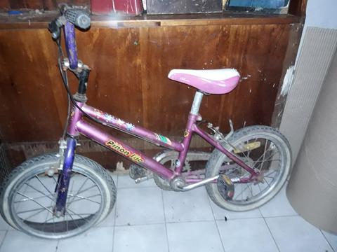 Bicicleta Rodado 16