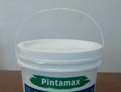 Fijador Pintamax