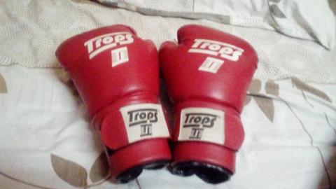Guantes de boxeo