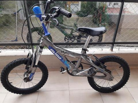 Bicicleta Olmo Varón Rodado 16