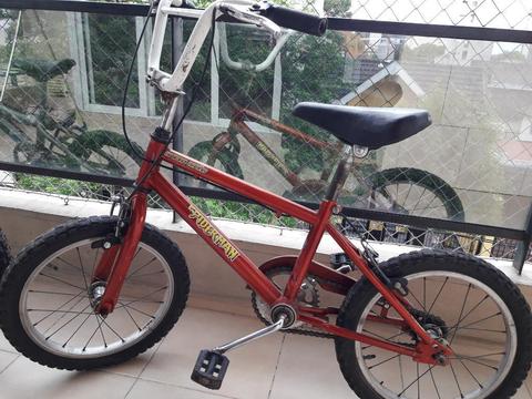 Bicicleta Varon Rodado 16