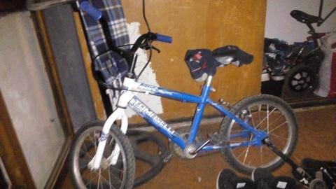 Bicicleta para Varón