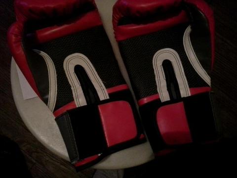 Guantes de Boxeo12 Onzas