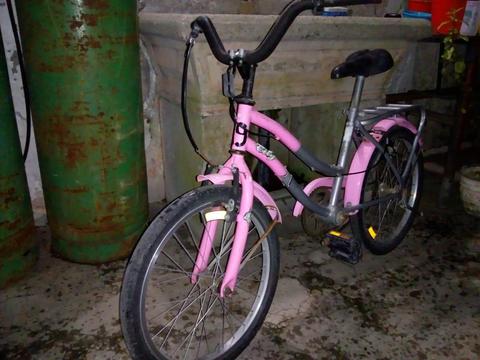 Bicicleta de Nena R.20