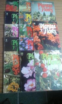 Revistas Plantas Y Flores