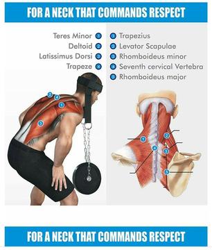 Arnés para Entrenamiento Cervical