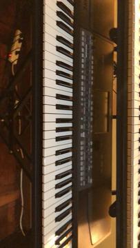 Teclado , Arranger , Organo Korg Pa 600