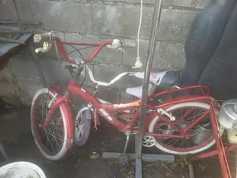 Bicicleta Rod. 20