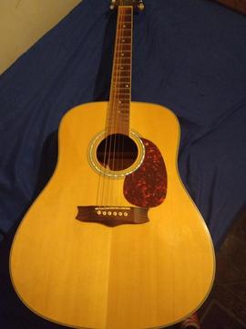 Guitarra Acustica Vantage