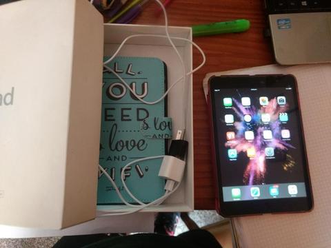 iPad Mini 2 16 Gb