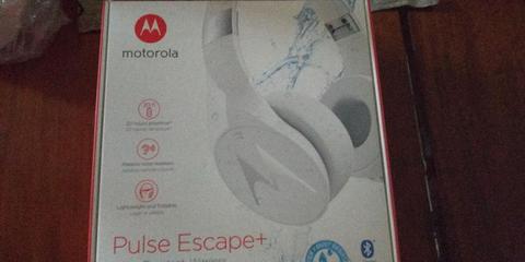 Motorola Bluetooth